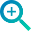 Magnifying glass